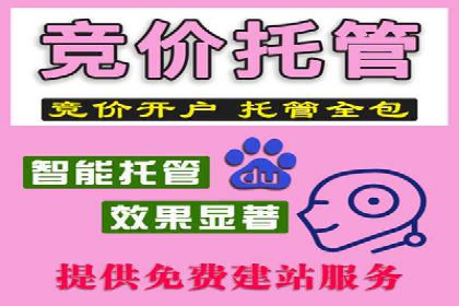 竞价端口开户后的广告投放策略案例